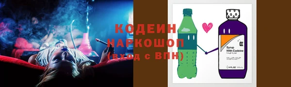 индика Верхний Тагил
