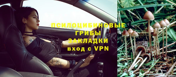 а пвп мука Медвежьегорск