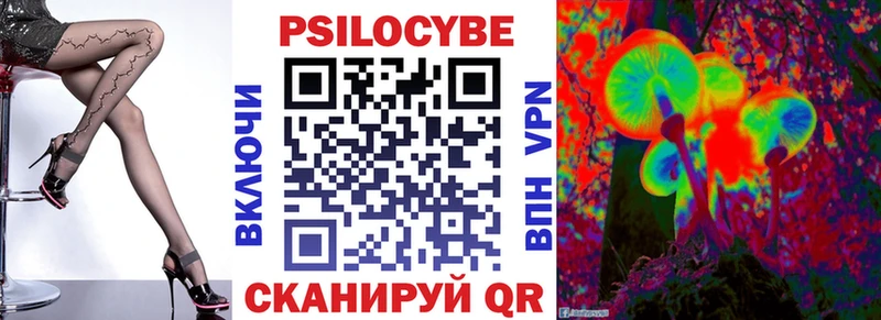 Псилоцибиновые грибы Cubensis  Шацк 